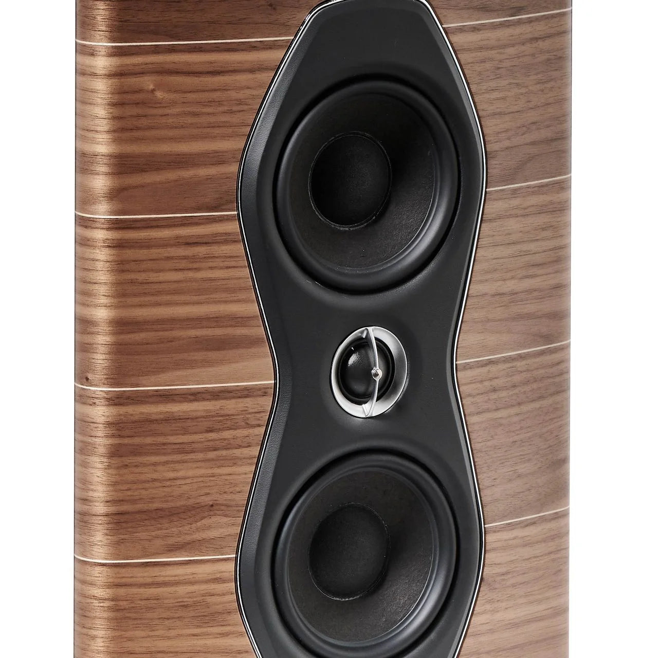 Sonus faber Olympica NOVA Wall On-Wall Speaker