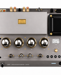 Leben CS-1000P Stereo Power Amplifier