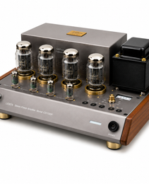Leben CS-1000P Stereo Power Amplifier