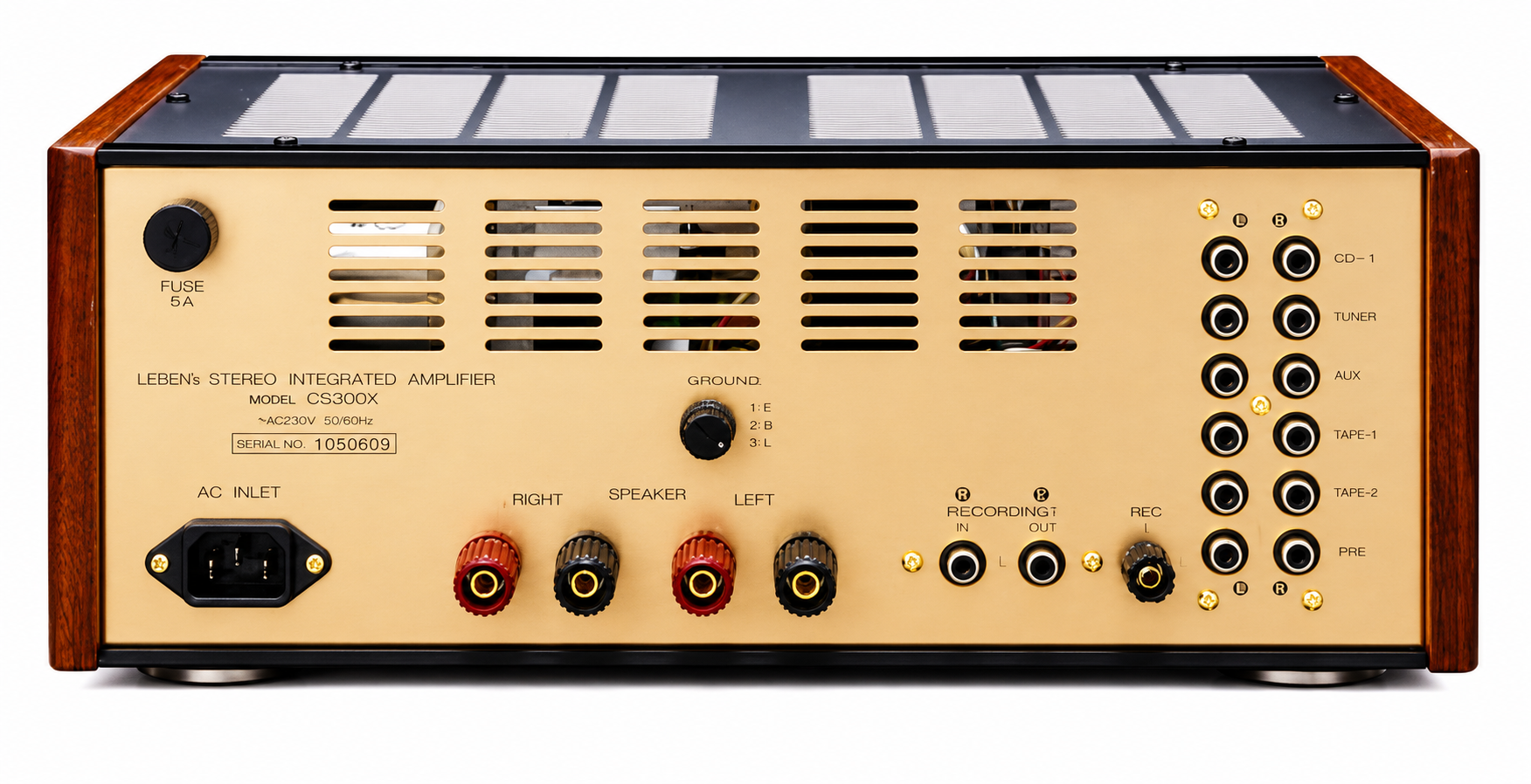 Leben CS-300X(S) Vacuum Tube Stereo Integrated Amplifier