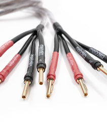 Melodika Brown Sugar BSBA22515 Bi-Amping Speaker Cable