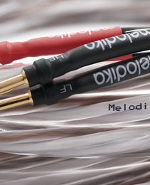Close-up of audio cables with 'Melodika' branding