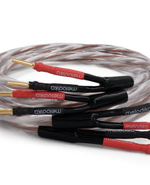 Coiled audio cable with red, black, and gold connectors on a white background