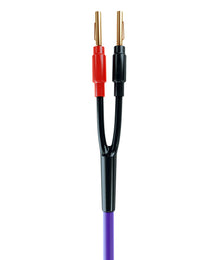 Melodika Purple MDSC1515 Speaker Cable OFC 4N 2 x 1.5 mm2 -Banana Plug/Spade Plug