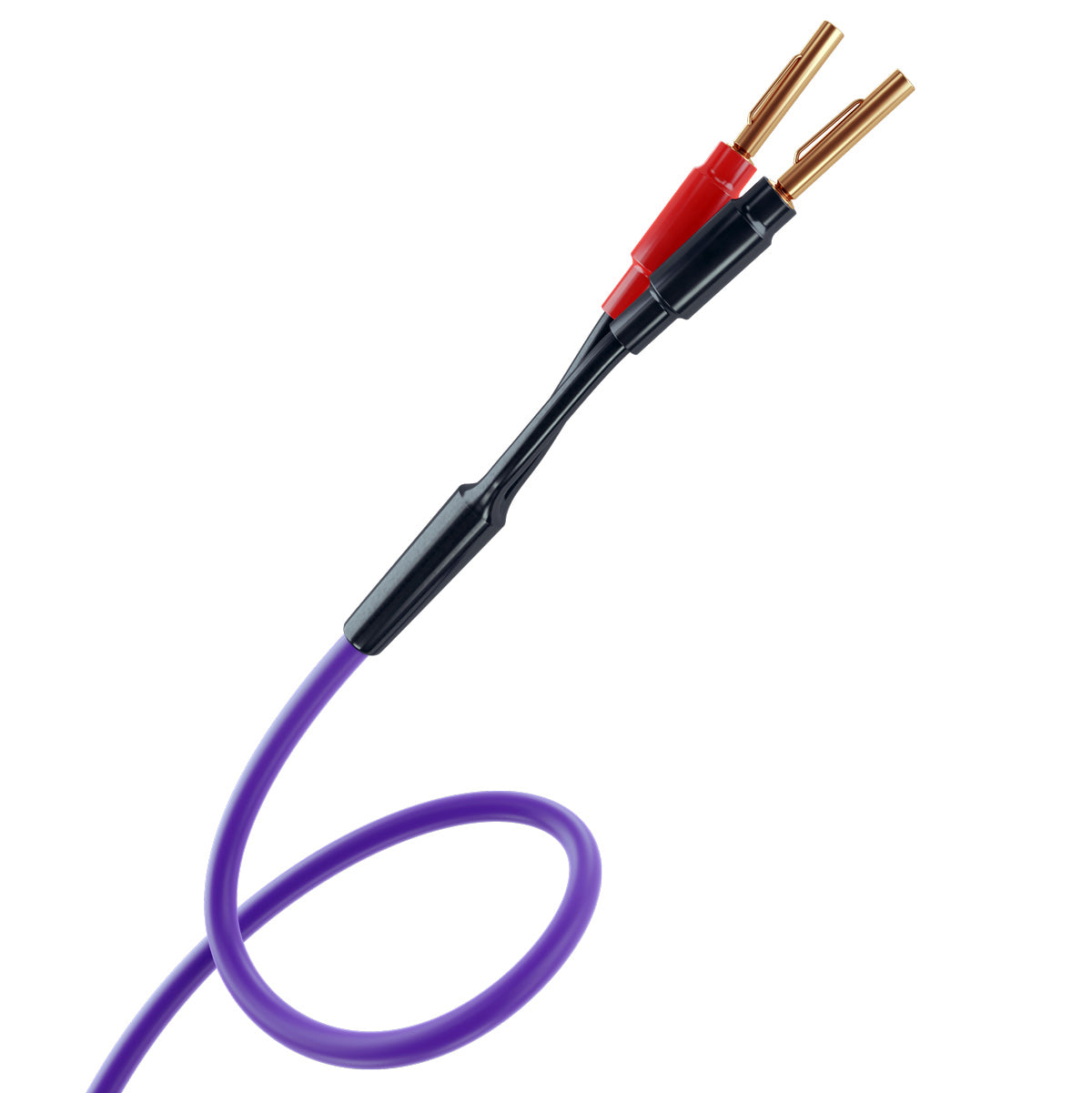 Melodika Purple MDSC2515  Speaker Cable OFC 4N 2 x 2.5 mm2- Banana Plug