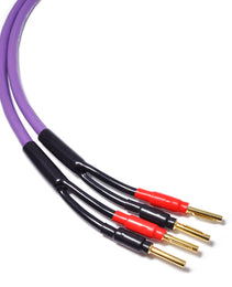 Melodika Purple MDSC2515  Speaker Cable OFC 4N 2 x 2.5 mm2- Banana Plug