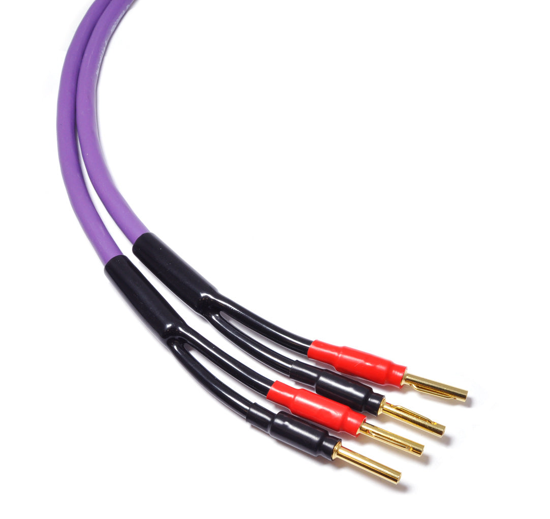 Melodika Purple MDSC2515  Speaker Cable OFC 4N 2 x 2.5 mm2- Banana Plug