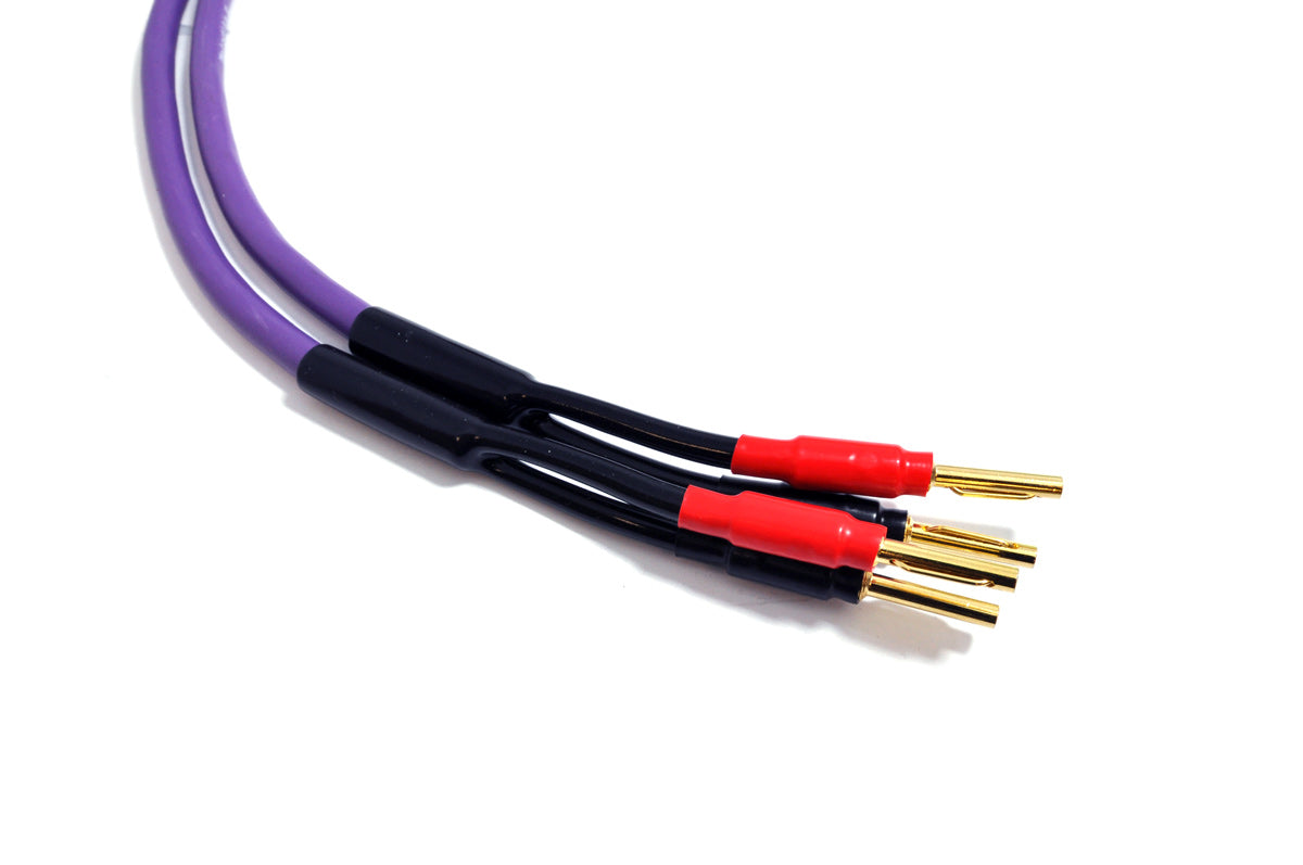 Melodika Purple MDSC2515  Speaker Cable OFC 4N 2 x 2.5 mm2- Banana Plug