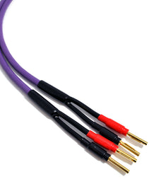 Melodika Purple MDSC2515  Speaker Cable OFC 4N 2 x 2.5 mm2- Banana Plug