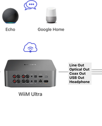 WiiM Ultra Networked Streamer