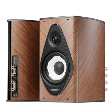 Walnut