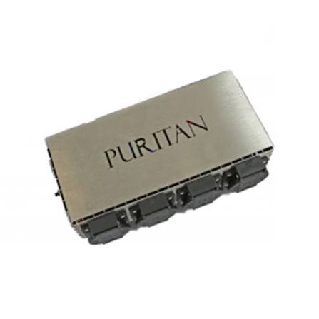 Puritan Audio Labs PB104 Power Brick Purifier
