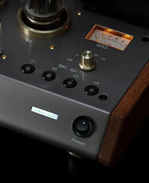 Leben CS-1000P Stereo Power Amplifier