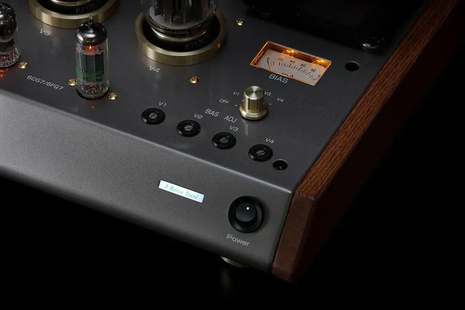 Leben CS-1000P Stereo Power Amplifier