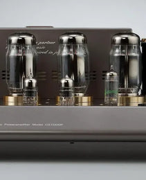 Leben CS-1000P Stereo Power Amplifier