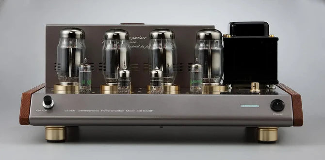 Leben CS-1000P Stereo Power Amplifier