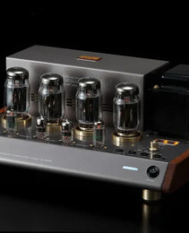 Leben CS-1000P Stereo Power Amplifier
