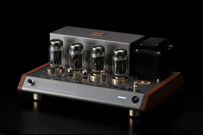 Leben CS-1000P Stereo Power Amplifier