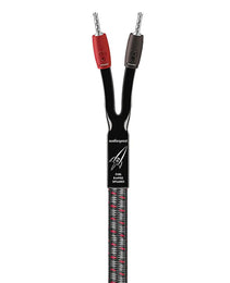 AudioQuest Rocket 33 Speaker Cable (Pair)